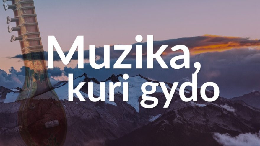 Muzika, kuri gydo