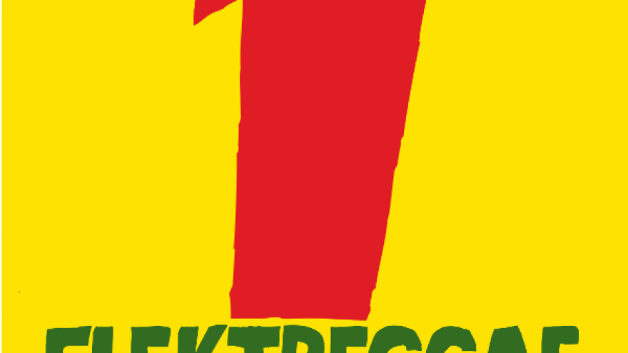 ELEKTREGGAE