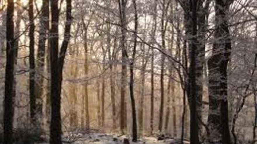 Pėsčiomis iš Raudondvario į Kulautuvą