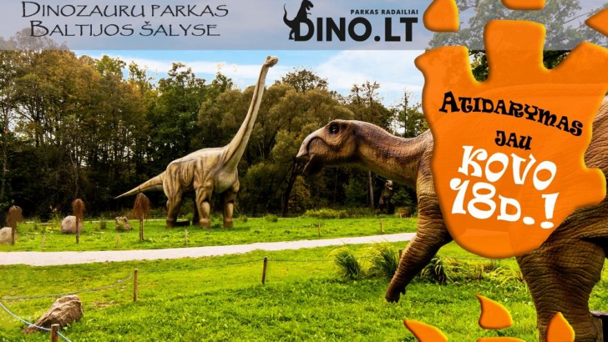 DINO.LT Parkas RADAILIAI