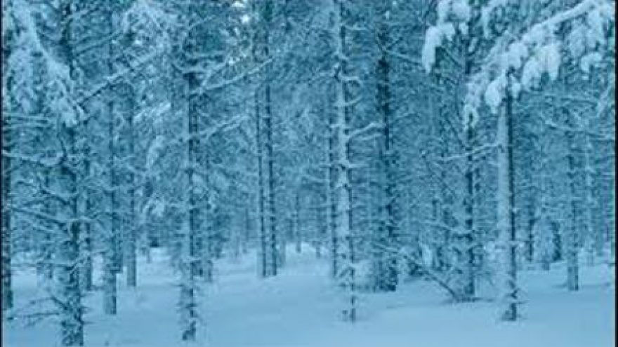Nuotykių žygis su orientavimosi elementais