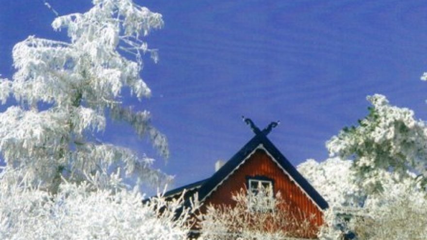 Kuršietiška žuvienė