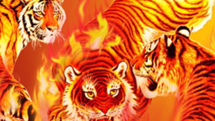 TIGER PARTY