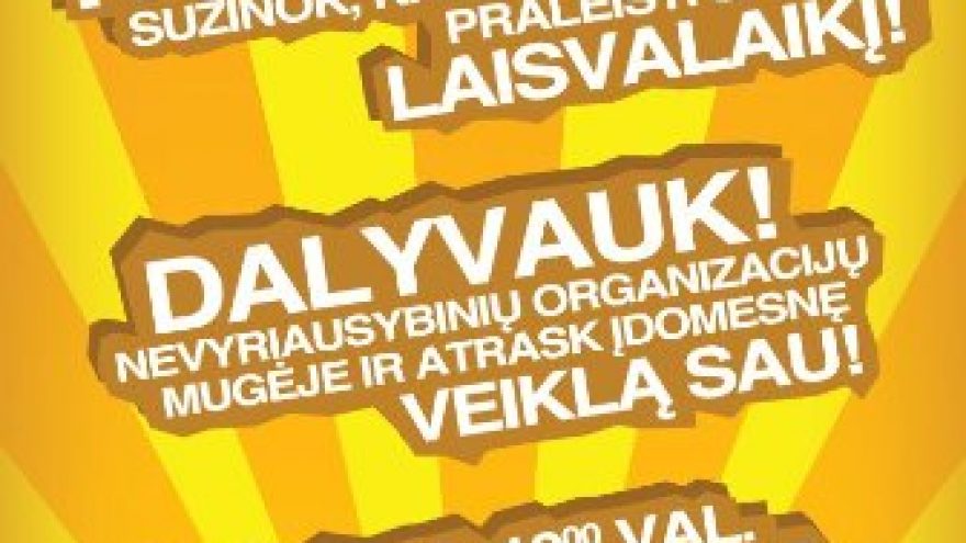 Nevyriausybinių organizacijų mugė