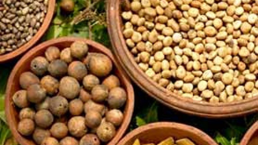 Praktiniai Ajurvedos pagrindai. Ajurvedinio ir vegetarinio m