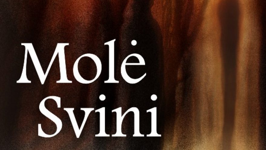 VŠDT premjera | MOLĖ SVINI | rež. Gytis Padegimas