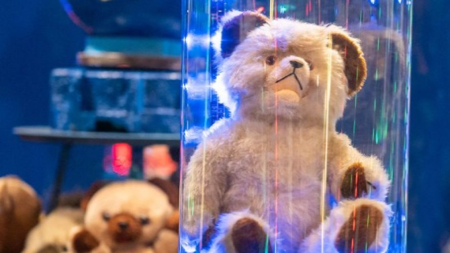 Meškinų muziejuje ”PLUSHY B 55”