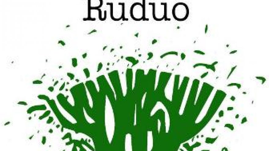 „Poetinis Druskininkų ruduo 2011″