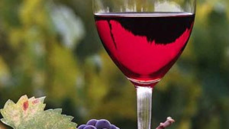 Vyno degustacija “Keturių kontinentų Pinot Noir”