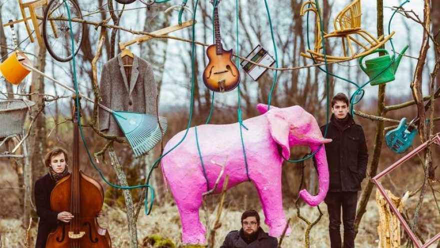 The Pink Elephant Live – Blic Bar