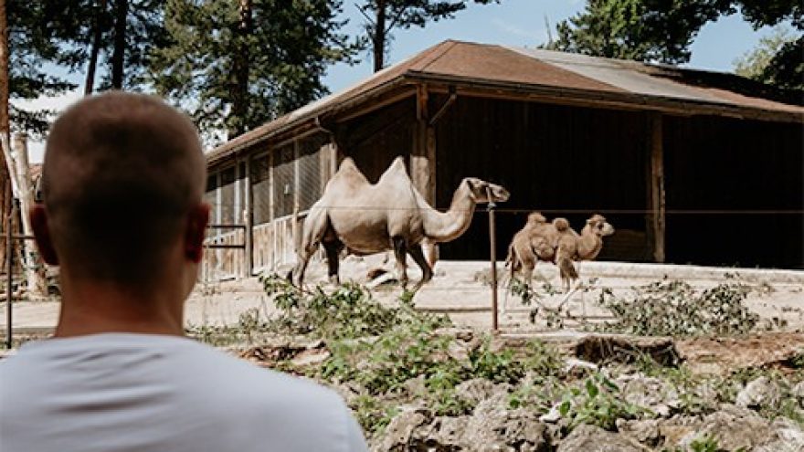 Rīga ZOO visit Summer season (Till 11.10.2026)