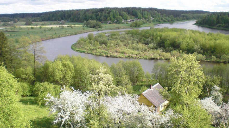 Festivalis “Vidur girių” ir dviračių žygis