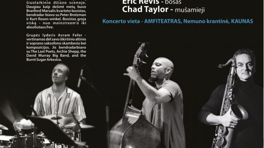 “Daugirdas gyvai” 2011 su Avram Fefer Trio (JAV)