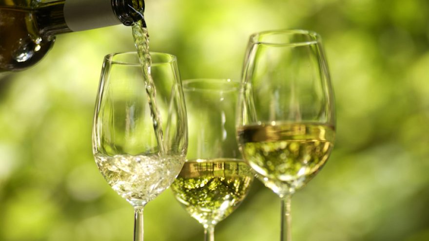 Degustacija “Nepakartojamas Gewurztraminer  pasaulis”